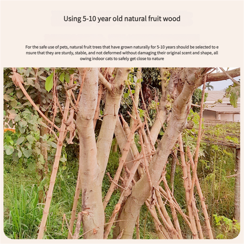 Solid Wood And Rattan Cat Climbing Frame