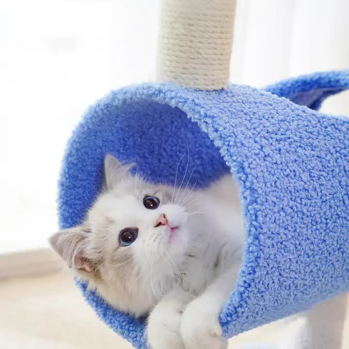 Kitten Blue Interactive Tunnel