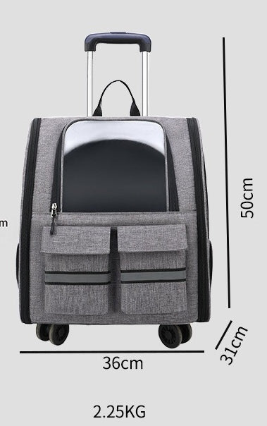 3-in-1 Pet Carrier